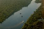 In der gründen Lunge der Erde, der Amazonasregion, verschwindet alle zwei Sekunden ein Stück Wald von der Größe eines Fussballfeldes. 