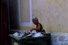 Eine hungrige Cubanerin durchwühlt einen Abfallcontainer in Havanna. A hungry cuban women searches for food in a garbage-container in Havanna