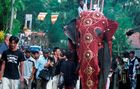 Der Schweizer Foto-Journalist Gerd Müller begeleitet eine Full Moon Hindu-Prozession in Bentota Sri Lanka und nähert sich dem Elefanten