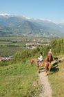 Kinder lieben Pferde und Ausritte durch die Naturlandschaft, wie hier im Wallis bei Sion. Children love horseriding and a trip through the beautiful landscape in the valley of Wallis