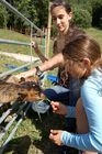 Kinder lieben Tiere und viele freuen sich auf einen Urlaub auf dem Bauernhof. Sie lernen viel über die Natur, die Tiere und die Arbeit der Bauern, children love holidays on a farm and they will learn a lot about the work of the farmers, the nature and the animals