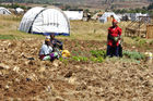 Kenya Red Cross Refugie Camp, where still 100'000 people are living in weak conditions.  Rot-Kreuz-Flüchtlingslager in Eldoret. Noch immer leben 100'000 Vertriebene in den Durchgangslagern der Hilfsorganisationen 