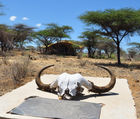 Denkmal und Andenken an Joy und George Adamson, die hier in der Wildnis des Samburu & Shaba NAtionalparks mit den Wildtieren wie eine Familie lebten