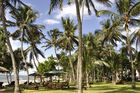 Schöne und gepflegte Gartenanlage im Serena Beach Hotel in Mombasa. Beautifull Garden at Serena Beach Hotel in Mombasa