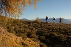 Das Oberdrautal in Kärnten hat sich als erster Outdoorpark Österreichs positioniert. Top-Wanderrouten zählen zu den Attraktionen. Angeboten werden z.B. Wandern auf Kultur-Pfaden und Wasser-Erlebnisschauplätzen, Almwanderungen und Bergtouren, Klettertouren im Reißkofelgebiet und Wasserklamm-Klettertouren, Kräuterwanderungen und Trekkingtouren durch die Kreuzeckgruppe. © Fotodienst / F. Gerdl