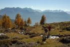 Das Oberdrautal in Kärnten hat sich als erster Outdoorpark Österreichs positioniert. Top-Wanderrouten zählen zu den Attraktionen. Angeboten werden z.B. Wandern auf Kultur-Pfaden und Wasser-Erlebnisschauplätzen, Almwanderungen und Bergtouren, Klettertouren im Reißkofelgebiet und Wasserklamm-Klettertouren, Kräuterwanderungen und Trekkingtouren durch die Kreuzeckgruppe. © Fotodienst / F. Gerdl