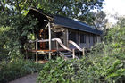 Wohnen im Busch: Living in the bush: Forest Lodge Maun. Wilderness-Camp in Botswana's Okavango Delta in der Kalahari-Wüste