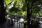 Die Veranda der Tree Forest Lodge in Maun in der Kalahri Wildnis 