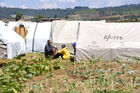 Noch immer leben über 100'000 Flüchtlinge in Camps wie hier in Eldoret  in Kenya's Rift Valley. Nach den politischen Unruhen wurden über 300'000 Menschen vertrieben, die nun vom Rot Kreuz und anderen humanitären Organisationen versorgt werden