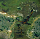 Das Okavango-Delta - der Welt grösstes Binnendelta in der Kalahri - ist seit über 45 Jahren nicht mehr so von Angola aus überflutet worden. The biggest floods (from Angola) since 46 years has hit the Garden Eden in the Kalahari Desert.