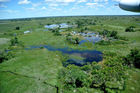 Okavango-Delta-Sümpfe in der Kalahari-Wüste: Der Garten Eden inmitten der Kalahari wurde seit 46 Jahren nicht mehr so stark überflutet. Garden Eden in the Kalahari Desert: The Okavango Delta faces the biggest floods since 46 years. 