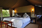 Forest Lodge Maun. Wilderness-Camp in Botswana's Okavango Delta in der  Kalahari-Wüste