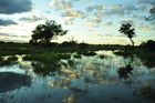 Die grösste Flut in den Okavango-Sümpfen in der Kalahri-Wüste seit 46 Jahren. 