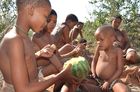 Naro-San Bushmen, Frauen, Mädchen, und Knaben essen eine wilde Melone in der Zentral-Kalahri