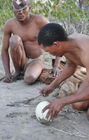 Buschmänner-Überlebenstrick in der Wüste: Kühles Wasser in Strausseneiern hält sich bis zu 7 MOnate: Bushmen Coolbox or bushmen-way of storing water in the desert. Cool Water sored in oostrich-eggs lasts for 7 month