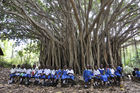 Kenyanische Schulkinderunter einem grossen Baum im Haller Park: Die ehemaligen Kalk-Steinbrüche wurden von einem Schweizer renaturiert und in einen Tierpark umgewandelt. Kenyan school-children under a huge tree in Haller Park in Mombasa, where a swiss renatured calc-hills and wholes into a animal park