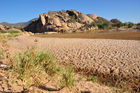 Landschaft, Fauna & Flora am Ngoro Fluss im Shaba & Samburu Nationalpark beim Joy's Camp