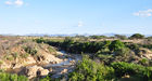 Lebensader in der Wüste: Am Ngiro River im Shaba & Samburu Nationalpark. 