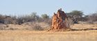 Im Shaba Nationalpark gibt es tausende von Termitenhügeln, manche doppelt so gross wie ein Mensch