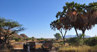 Oase in der Wüste: Fauna & Flora am Ngoro River im Shaba & Samburu Nationalpark 