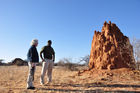 Gigantische Termitenbauten im Shaba & Samburu Nationalpark unweit von Joy's Camp. Giant Thermites-hills and constructions in the desert of Shaba & Samburu National Parks