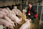 (C) Fotodienst/Anna Rauchenberger - Wien 11.09.2007 - GENUSS REGION ÖSTERREICH: Genuss Profi Tullnerfelder Schwein. FOTO: Norbert Payr, Chef und Koch im 