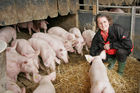 (C) Fotodienst/Anna Rauchenberger - Wien 11.09.2007 - GENUSS REGION ÖSTERREICH: Genuss Profi Tullnerfelder Schwein. FOTO: Norbert Payr, Chef und Koch im 