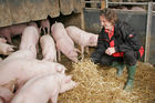 (C) Fotodienst/Anna Rauchenberger - Wien 11.09.2007 - GENUSS REGION ÖSTERREICH: Genuss Profi Tullnerfelder Schwein. FOTO: Norbert Payr, Chef und Koch im 