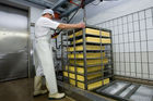 Käsemeister Josef Moser hebt den Käse aus dem Salzbad
© fotodienst.at/Chris Hofer
