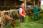 Gastagwirt Fritz Maislinger im Stall. Der Wirt betreibt auch eine Landwirtschaft und produziert Bio-Milch für seine Gäste und die Sennerei Käsehof
© fotodienst.at/Chris Hofer
