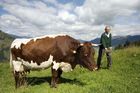 Genuss Region Österreich - Pinzgauer Rind und Sepp Riedelsberger, Landwirt
Foto: Mühlanger
