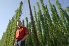 Hermann Bayer ist Geschäftsführer derHopfenbaugenossenschaft in Neufelden, die rund2/3 des Mühlviertler Hopfens weiterverarbeitetund vermarktet.                                                              