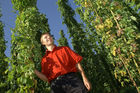 Hermann Bayer ist Geschäftsführer derHopfenbaugenossenschaft in Neufelden, die rund2/3 des Mühlviertler Hopfens weiterverarbeitetund vermarktet.                                                              
