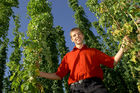 Hermann Bayer ist Geschäftsführer derHopfenbaugenossenschaft in Neufelden, die rund2/3 des Mühlviertler Hopfens weiterverarbeitetund vermarktet.                                                              