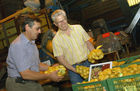 Foto v.l.: Edmund Rauchberger ist Obmann der
Erzeugerorganisation für Erdäpfel; verpackt werden die Kartoffeln in Karl
Wais' Kartoffelhandlesges. m. b. H. in
Königsbrunn.