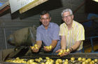 Foto v.l.: Edmund Rauchberger ist Obmann derErzeugerorganisation für Erdäpfel; verpackt werden die Kartoffeln in KarlWais' Kartoffelhandlesges. m. b. H. inKönigsbrunn.