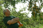 Karl Schwaighofer und seineFamilie sind Obstbauern in der Wachau.                                   