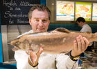 (c) fotodienst / Anna Rauchenberger - Wien, am 22.04.2010 - Sternekoch Toni Mörwald und Nordsee gemeinsam auf Tournee: In neun Restaurants empfängt Nordsee gemeinsam mit dem mehrfach ausgezeichneten, österreichischen Haubenkoch Toni Mörwald interessierte Fischgenießer zu einem Gourmetabend der besonderen Art. Der Auftakt der Tournee fand in der Nordsee-Filiale in der Kärntnerstraße in Wien statt. FOTO: Toni Mörwald, Haubenkoch