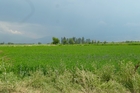 Wiedersehen nach 17 Jahren - pressetext-Tour durchs Land der Arche Noah mit Berg Ararat in der Osttürkei. Im Bild: Fruchtbares Agrarland bei Igdir.
