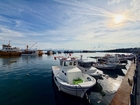 Die antike Hafenstadt Sinope am Schwarzen Meer ist heute nicht nur ein begehrtes Urlaubsziel, sondern auch Hotspot für junge, moderne Kunst. Im Bild: Marina vor der Festung Sinop.