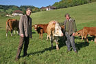 (C) Fotodienst/Anna Rauchenberger - Winzendorf - Genuss Profi Schneebergland Jungrind: Josef Schmutzer, Chef des Gasthaus Schmutzer in Winzendorf, setzt auf regionales Fleisch und Produkte aus der Umgebung. In der Küche schwingt Gattin Ute Schmutzer den Kochlöffel und verkocht dabei ausschließlich Rindfleisch aus der Region - beispielsweise von Franz Garber, einem Bio-Bauern aus Waldegg.