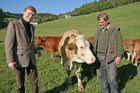 (C) Fotodienst/Anna Rauchenberger - Winzendorf - Genuss Profi Schneebergland Jungrind: Josef Schmutzer, Chef des Gasthaus Schmutzer in Winzendorf, setzt auf regionales Fleisch und Produkte aus der Umgebung. In der Küche schwingt Gattin Ute Schmutzer den Kochlöffel und verkocht dabei ausschließlich Rindfleisch aus der Region - beispielsweise von Franz Garber, einem Bio-Bauern aus Waldegg.