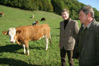 (C) Fotodienst/Anna Rauchenberger - Winzendorf - Genuss Profi Schneebergland Jungrind: Josef Schmutzer, Chef des Gasthaus Schmutzer in Winzendorf, setzt auf regionales Fleisch und Produkte aus der Umgebung. In der Küche schwingt Gattin Ute Schmutzer den Kochlöffel und verkocht dabei ausschließlich Rindfleisch aus der Region - beispielsweise von Franz Garber, einem Bio-Bauern aus Waldegg.