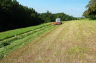 Genuss Region Österreich - Pierbach Weidegans