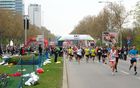 Vienna City Marathon 2012: Catch me if you can