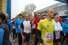 Vienna City Marathon 2012: Catch me if you can