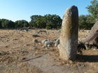 © Fotodienst / Wilfried Seywald. Sardinien ist reich an Bodenschätzen, Kultur- und Naturschätzen. Erst in den letzten Jahrzehnten haben Archäologen die antiken Kulturen der sardischen Völkerschaften ausgegraben, so etwa die Ozieri-Kultur aus der Jungsteinzeit (3.300-2.700 v.Chr.) mit faszinierenden Kultstätten, Felsengräbern und Menhiren, oder auch die Nuraghen-Kultur (1.800-500 v.Chr.), eine hochstehende Zivilisation, die während der Bronzezeit durch den immensen Erzreichtum Sardiniens zu Macht und Wohlstand kam und dies in riesigen Befestigungsanlagen aus Stein und Felsen zum Ausdruck brachte. Foto: Menhir im Archäologiepark Pranu Muttedu.