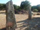 © Fotodienst / Wilfried Seywald. Sardinien ist reich an Bodenschätzen, Kultur- und Naturschätzen. Erst in den letzten Jahrzehnten haben Archäologen die antiken Kulturen der sardischen Völkerschaften ausgegraben, so etwa die Ozieri-Kultur aus der Jungsteinzeit (3.300-2.700 v.Chr.) mit faszinierenden Kultstätten, Felsengräbern und Menhiren, oder auch die Nuraghen-Kultur (1.800-500 v.Chr.), eine hochstehende Zivilisation, die während der Bronzezeit durch den immensen Erzreichtum Sardiniens zu Macht und Wohlstand kam und dies in riesigen Befestigungsanlagen aus Stein und Felsen zum Ausdruck brachte. Foto: Menhire im Archäologiepark Pranu Muttedu.
