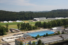 Eidgenössisches Schwing- und Älplerfest, Swiss Wrestling