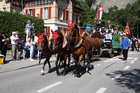 Eidgenössisches Schwing- und Älplerfest, Swiss Wrestling